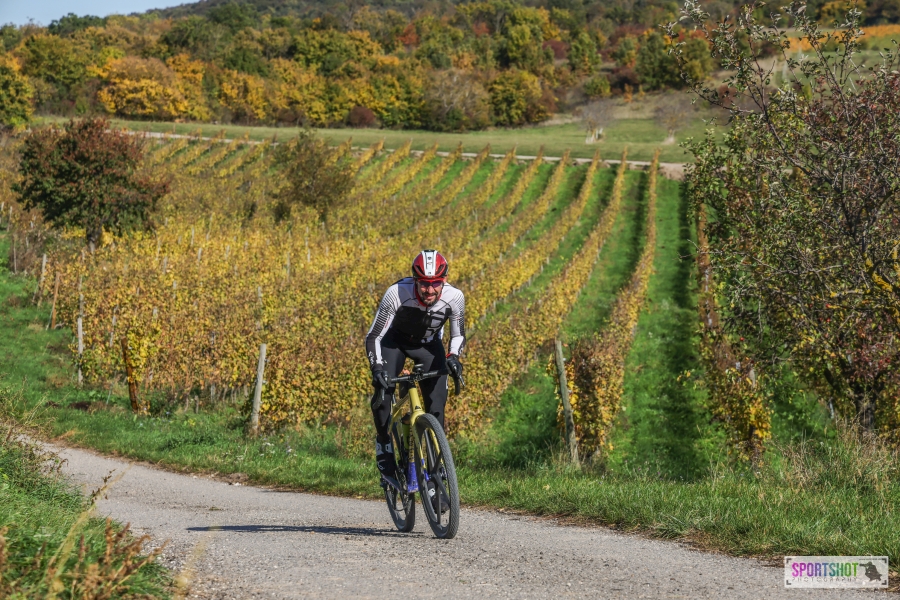 Flo auf neuem Terrain